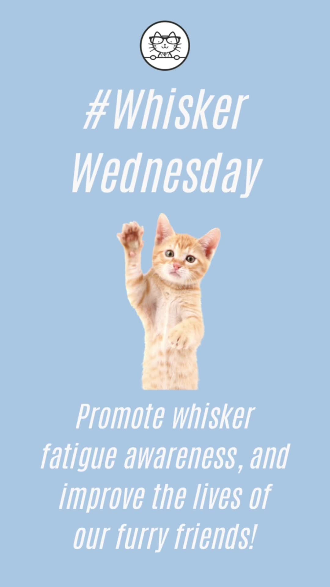 @Dr Catsby