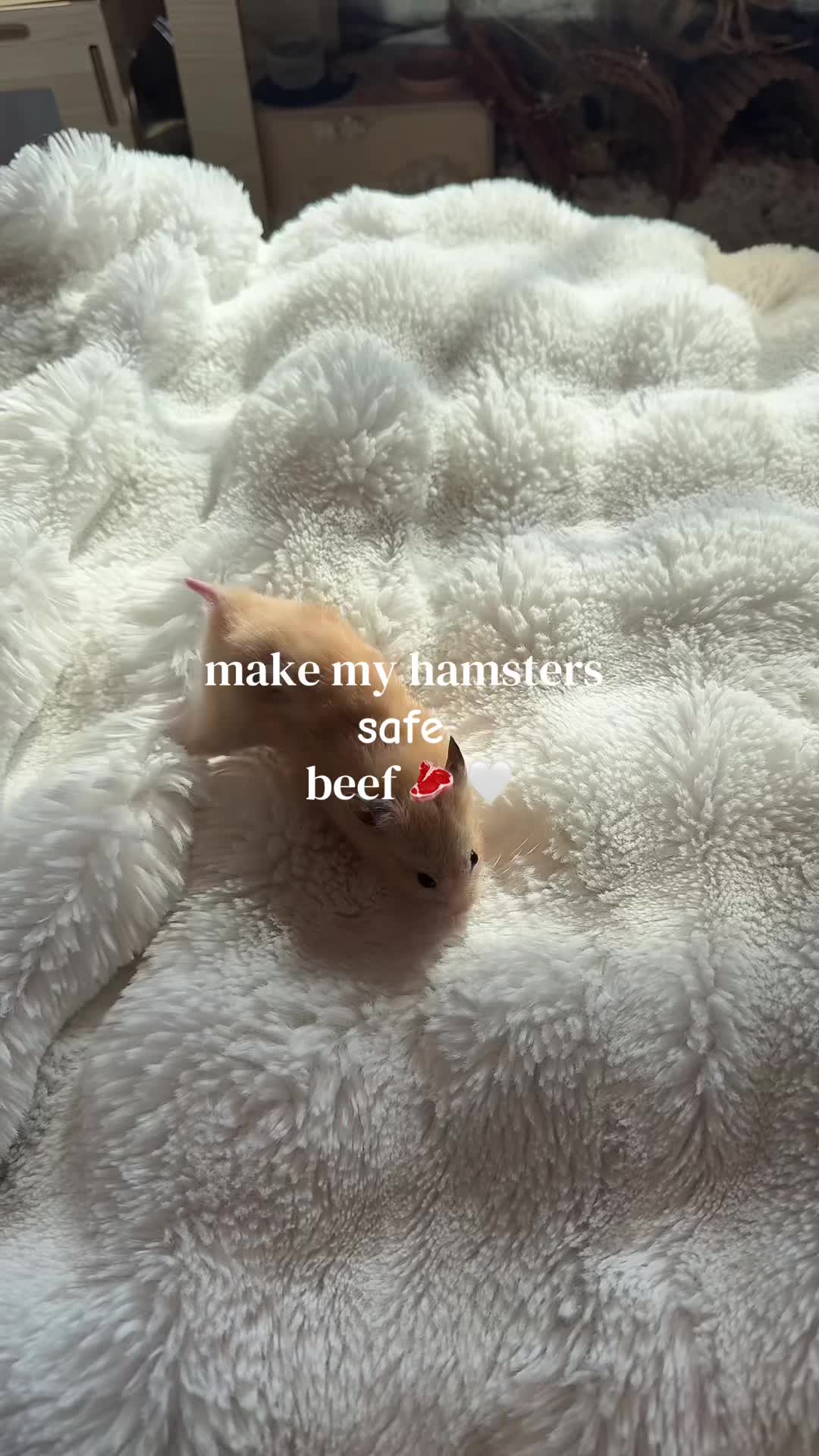 @alexa🤍🐾