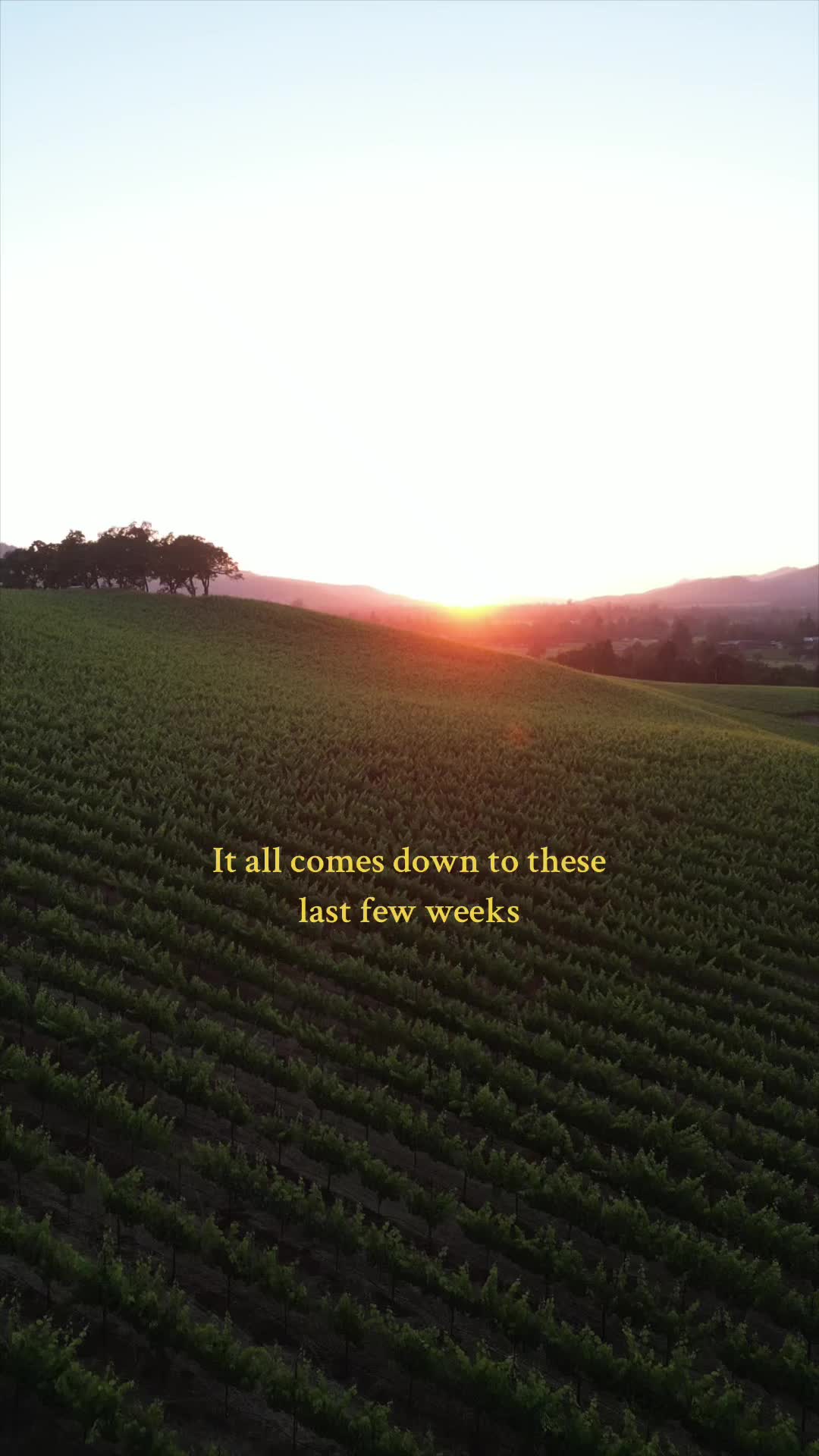 @WineCountryDrone