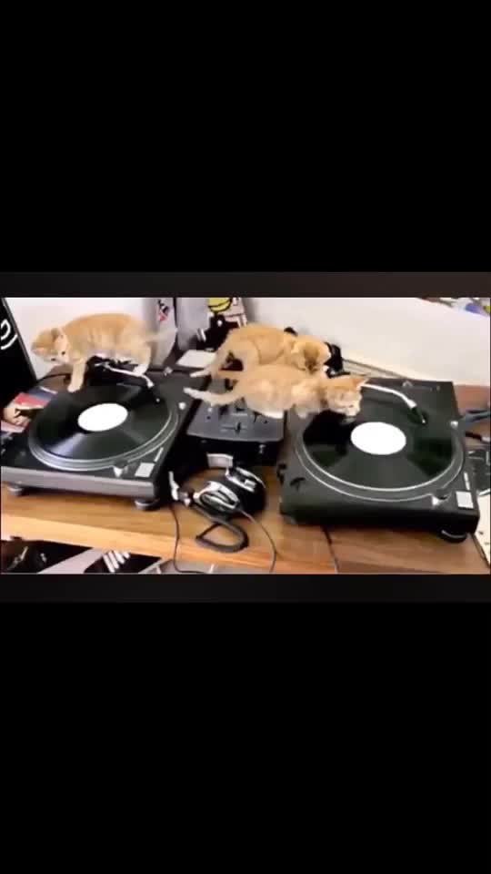 @monstermixtape