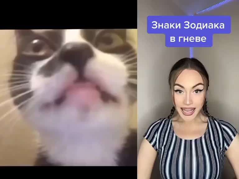 @#Шл&euml;па123