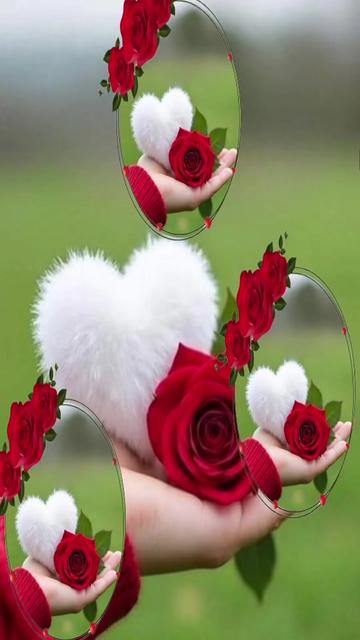 @suvrna