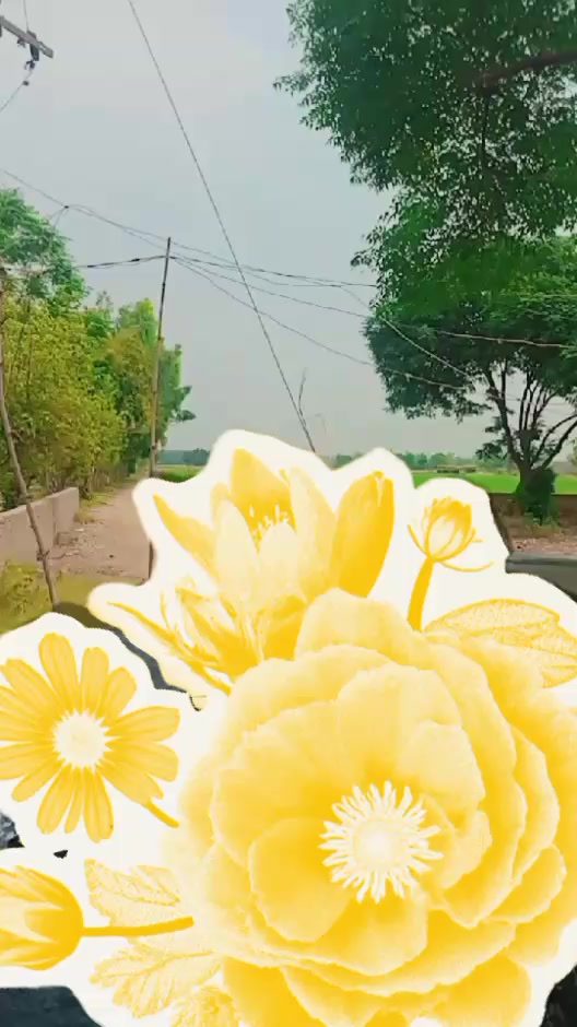 @Malik Bagi