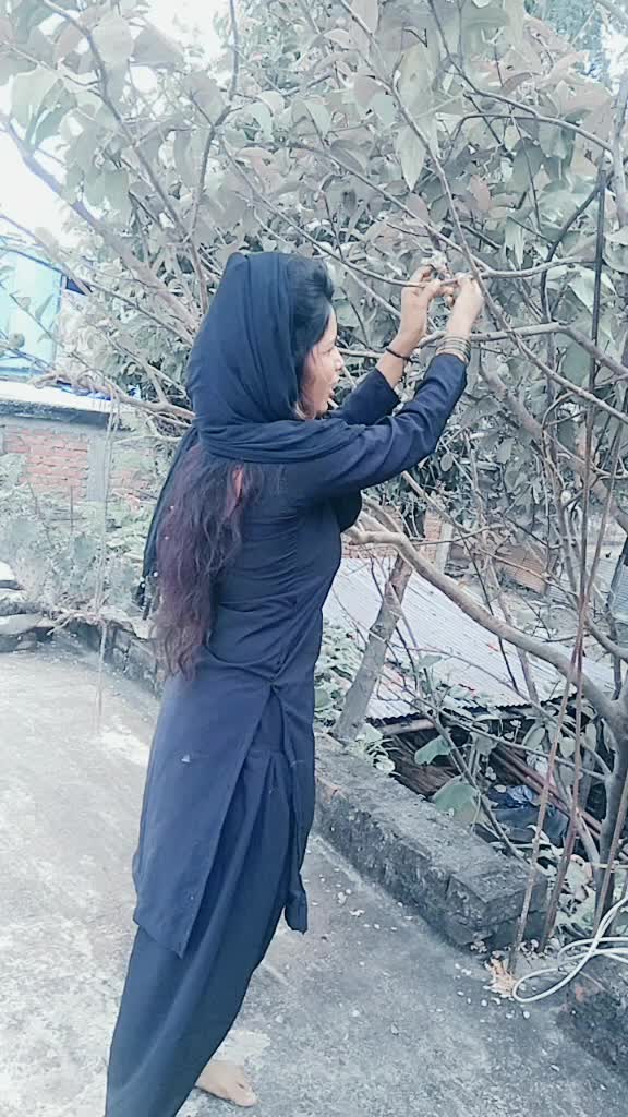 @asminkhatun968