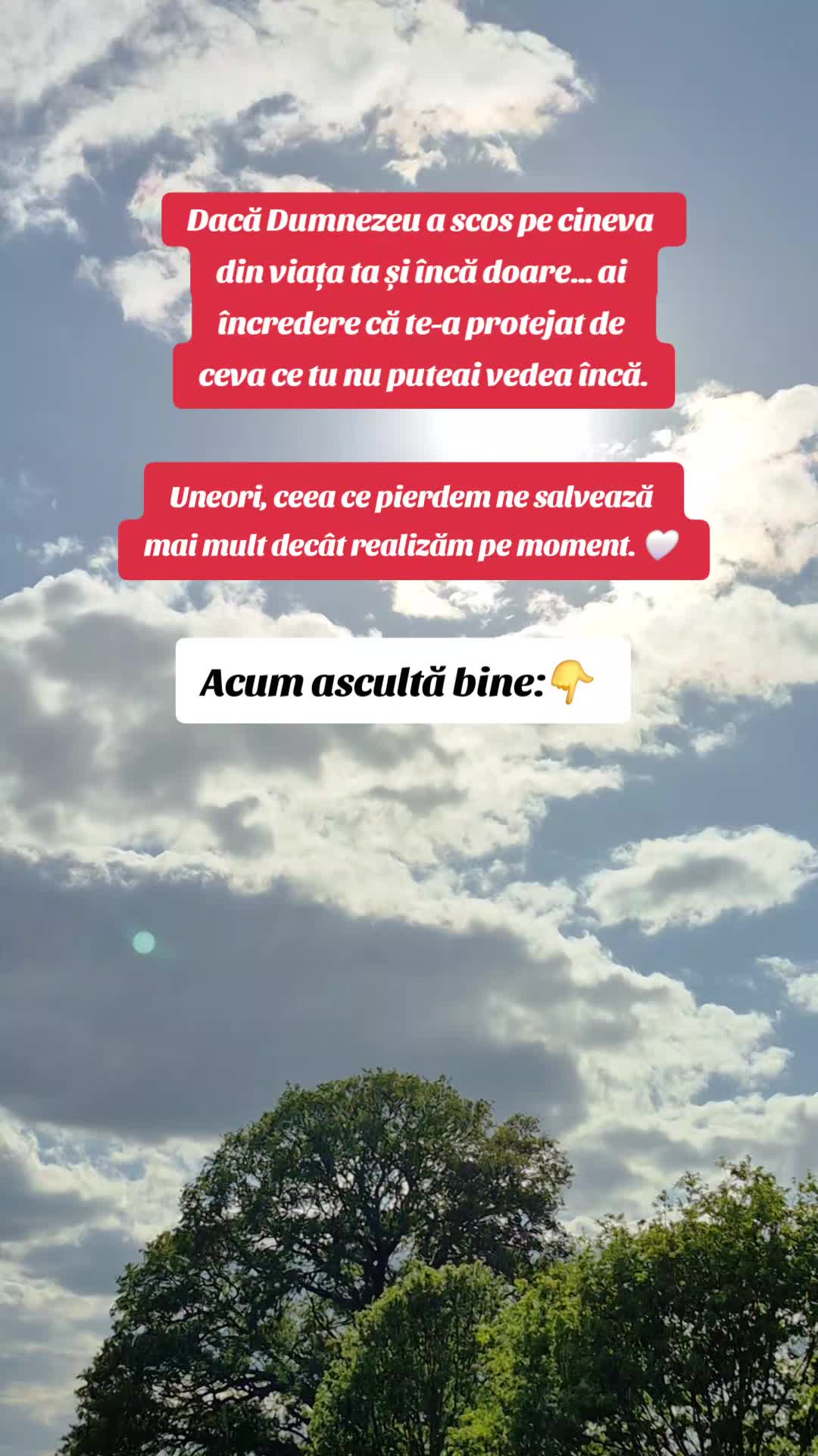 @St&euml;ll@