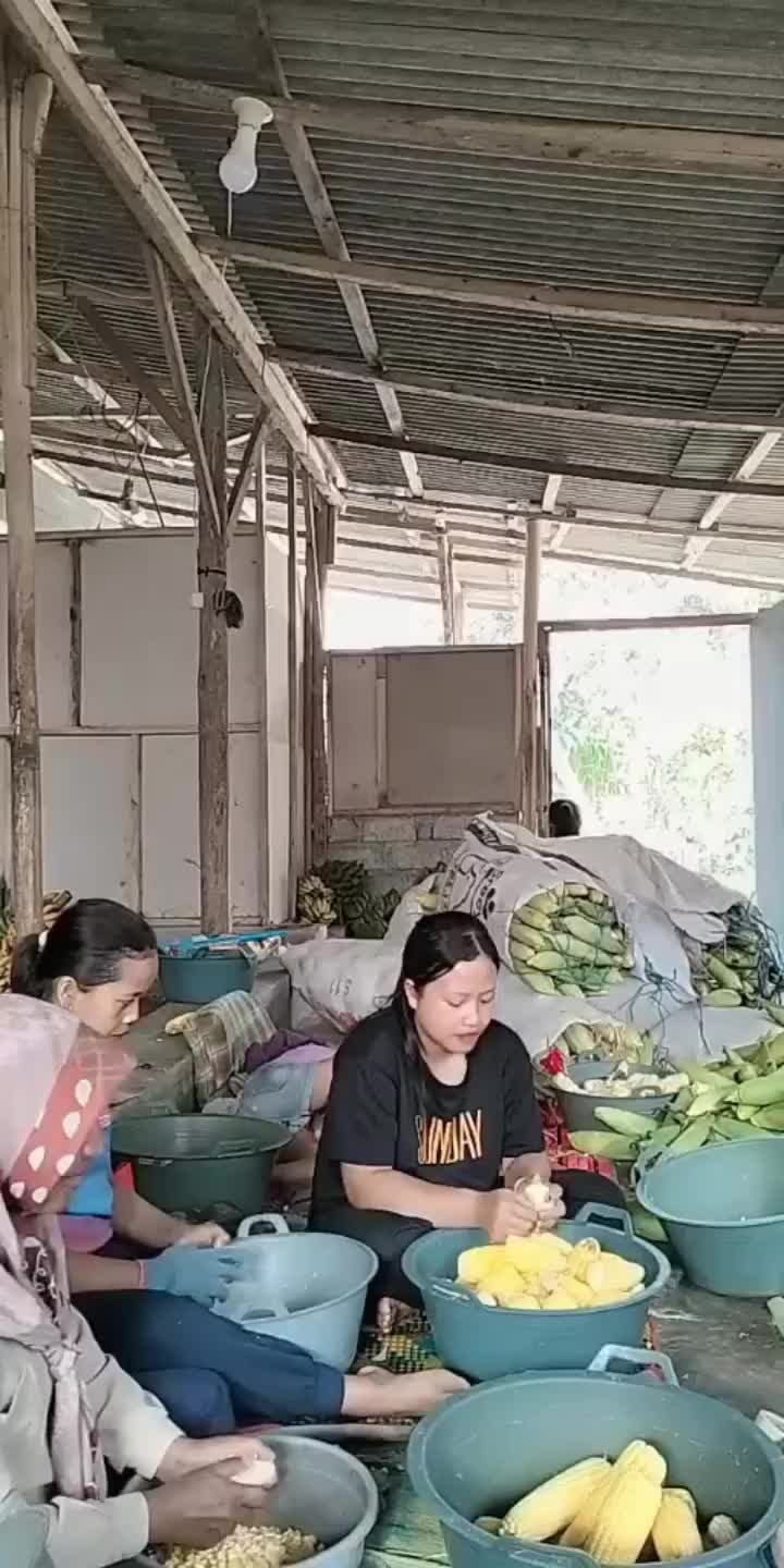 @vickydhuta
