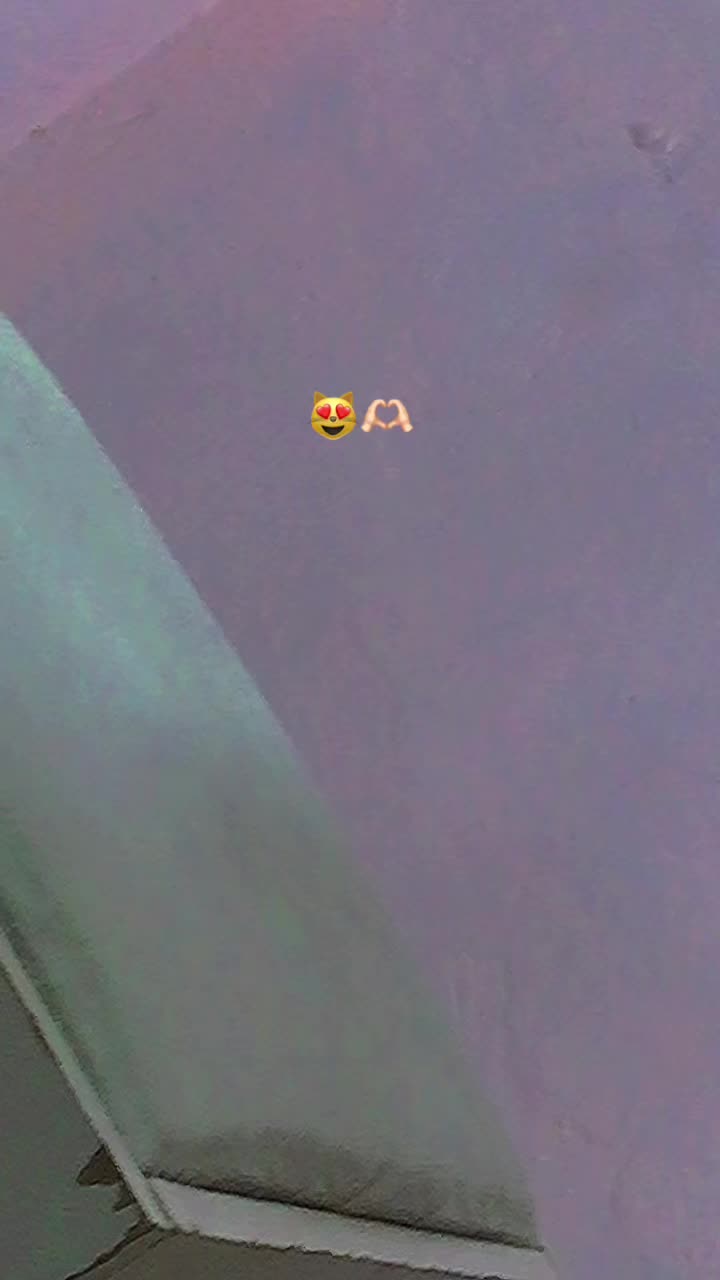 @janita