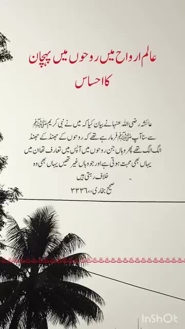 @Aamir SAMI singer