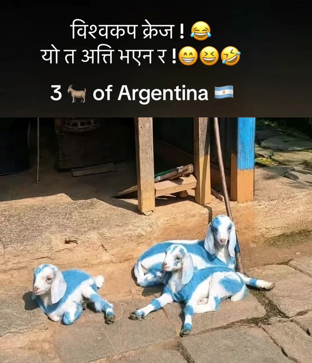 @MEGHARAJ SAPKOTA 🇳🇵 🇯🇵