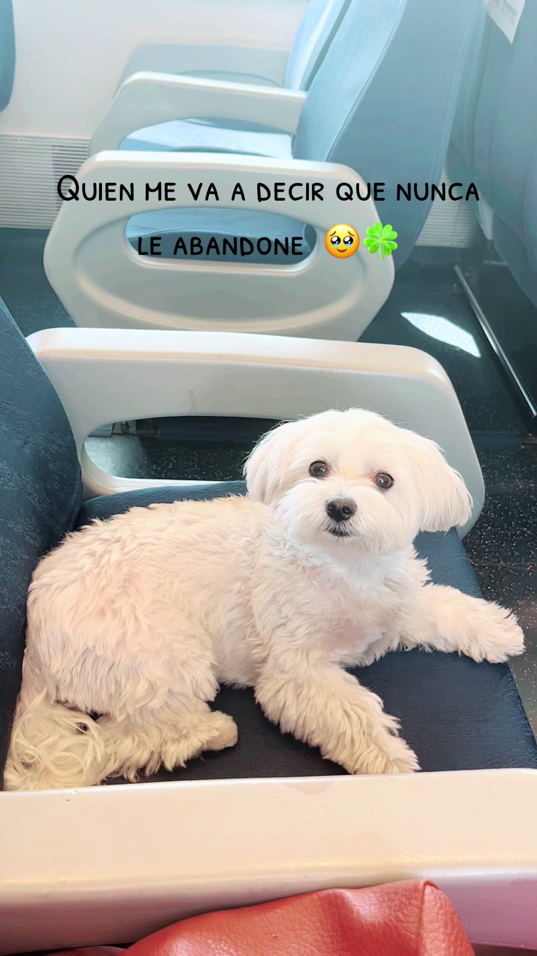 @Darla 🧡🐶🧡