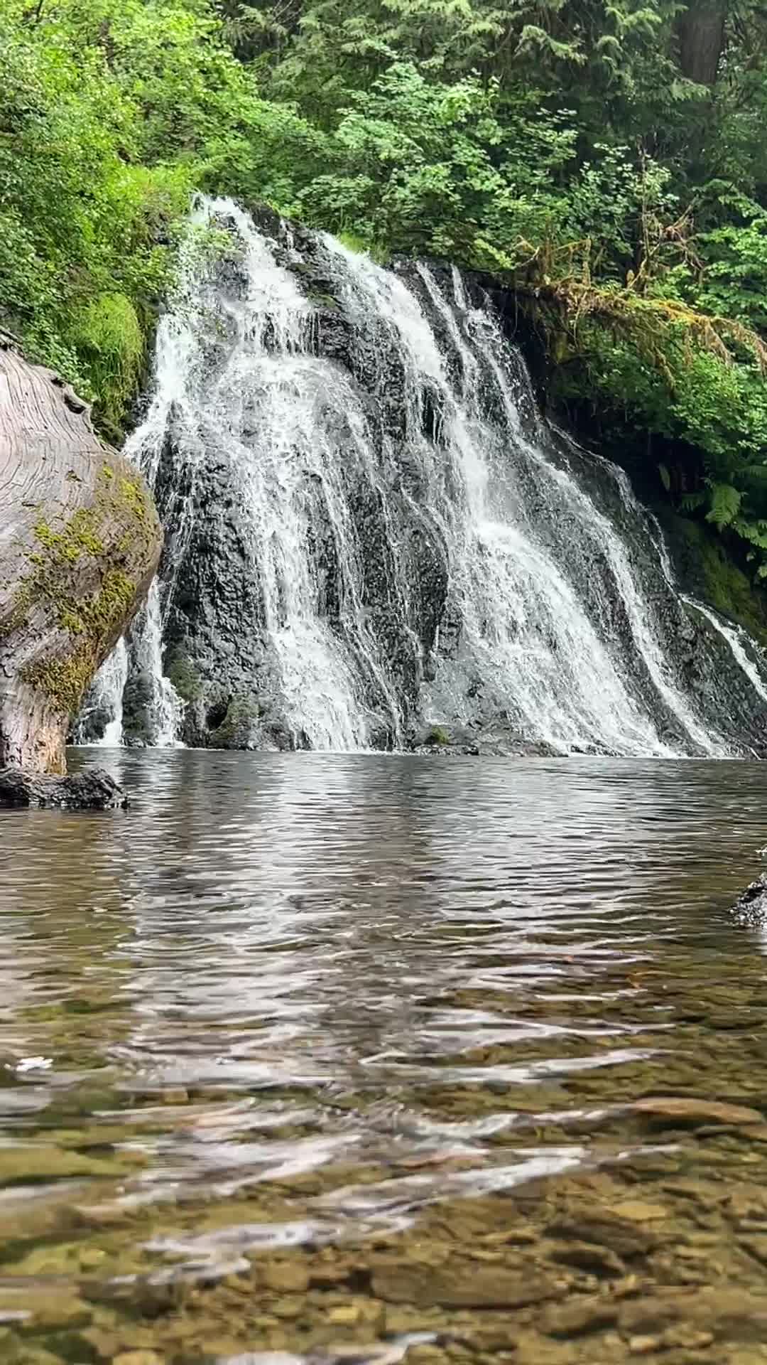 @pnw.outside