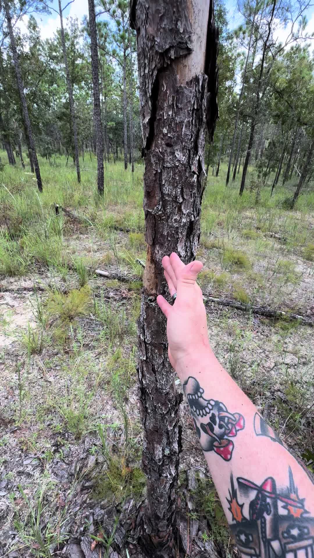 @dillnye3