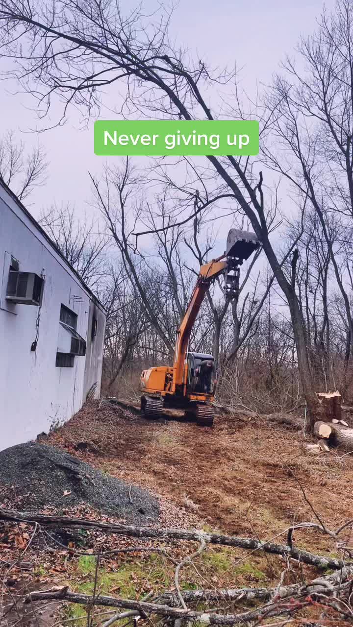 @Ron Bull The tree surgeon