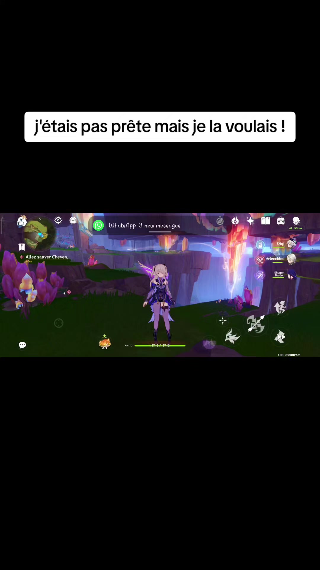 @trognon de pommes
