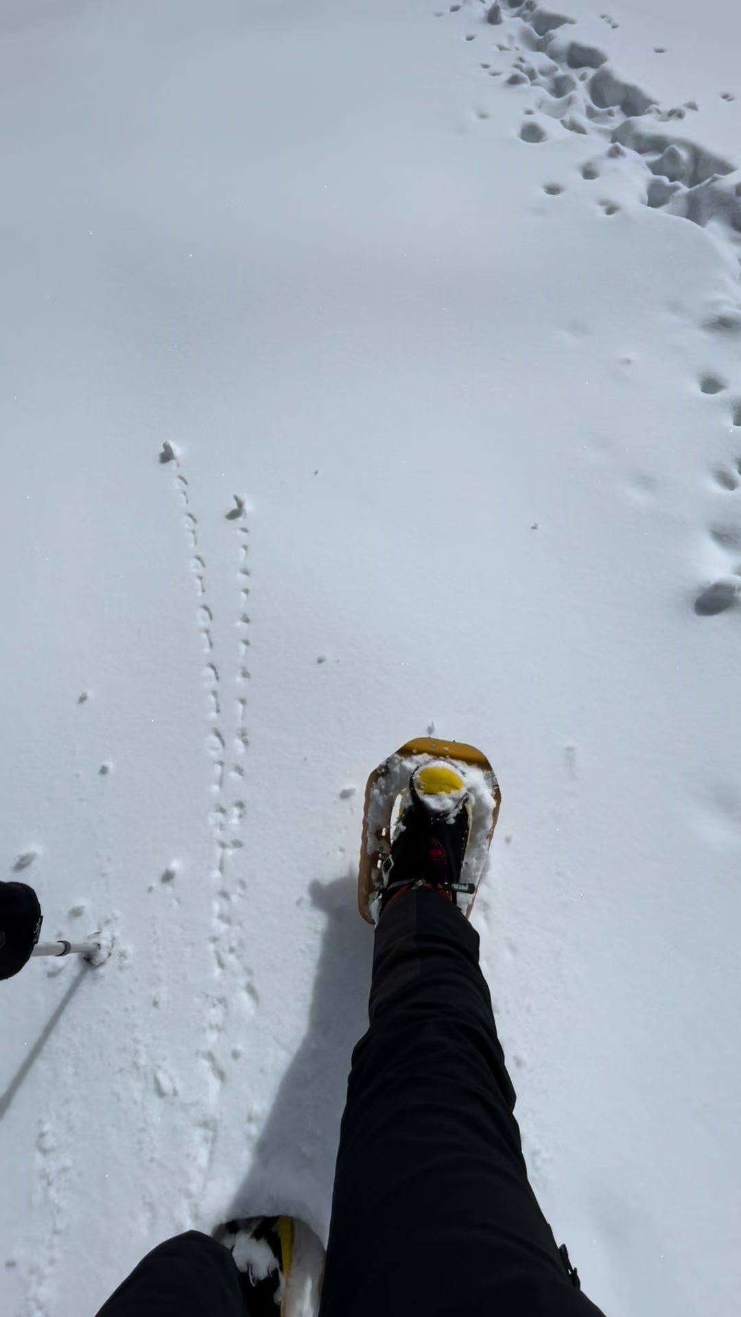 @mountain_tales