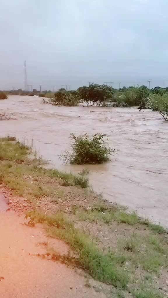 @Zamir Ali Mashori