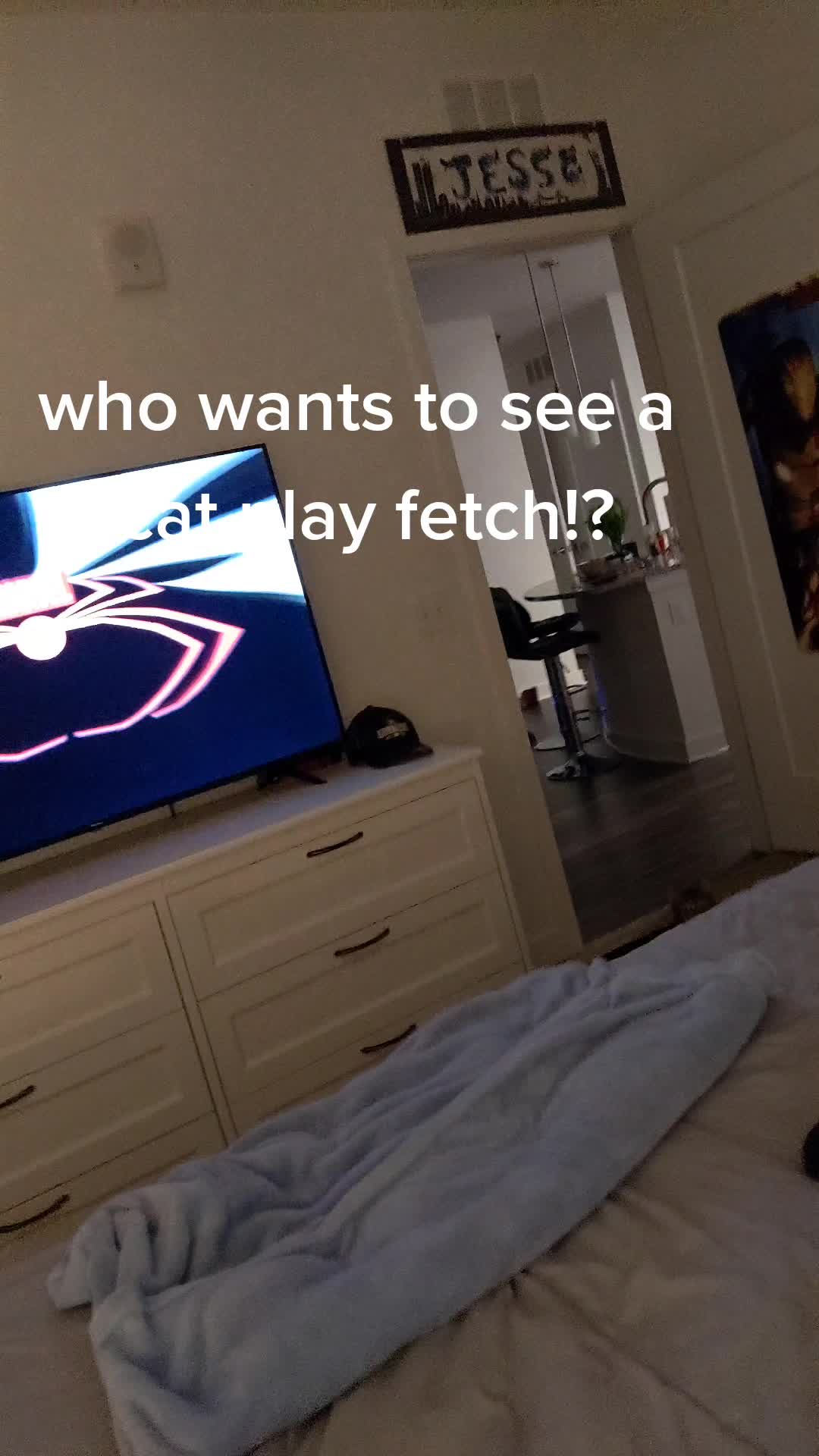 @JJ Raven