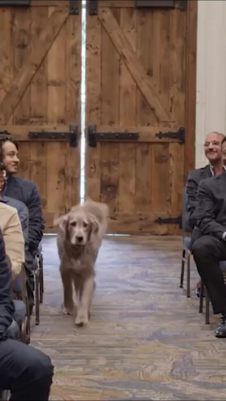 @dogadoption