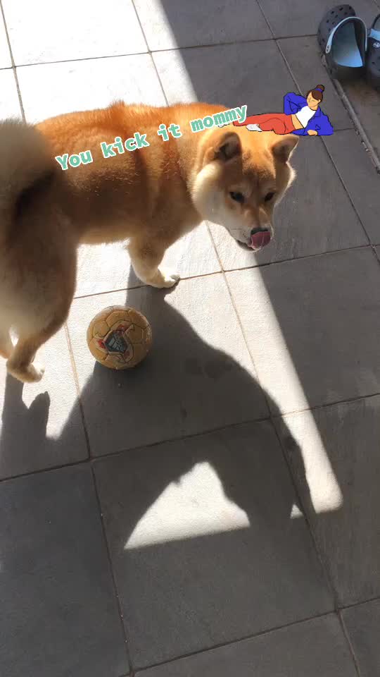 @Mochi.Shogun