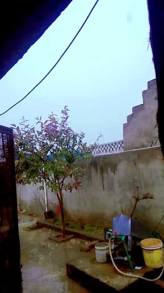@Raja Majad