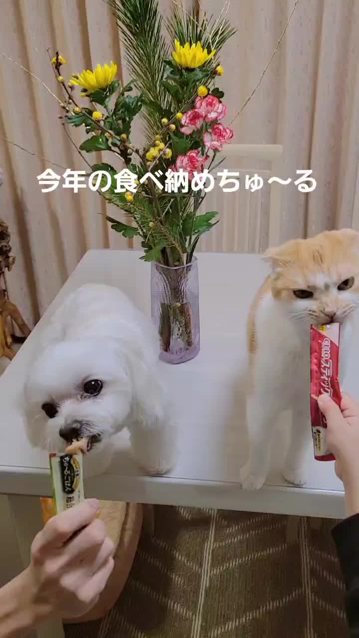 @fuuko.0324