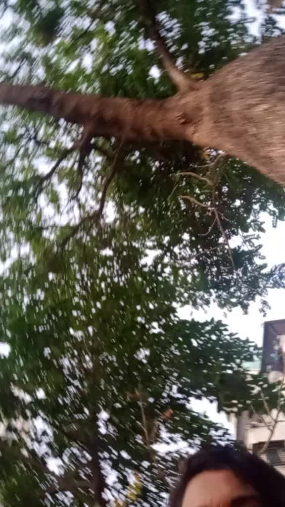 @poojanikam_8