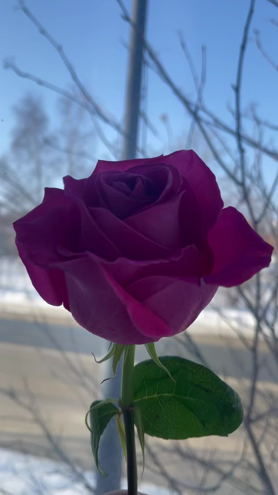 @Махаррам Аллахвердие