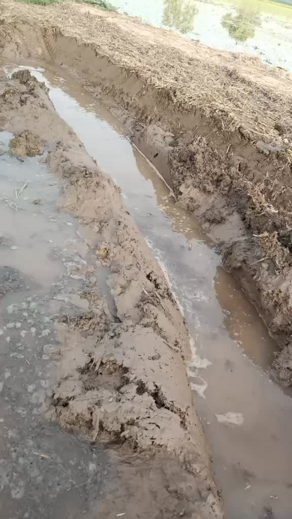@rahulgill1111111111