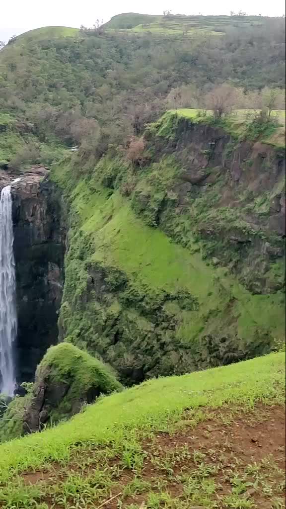 @Swapnali Birwadkar
