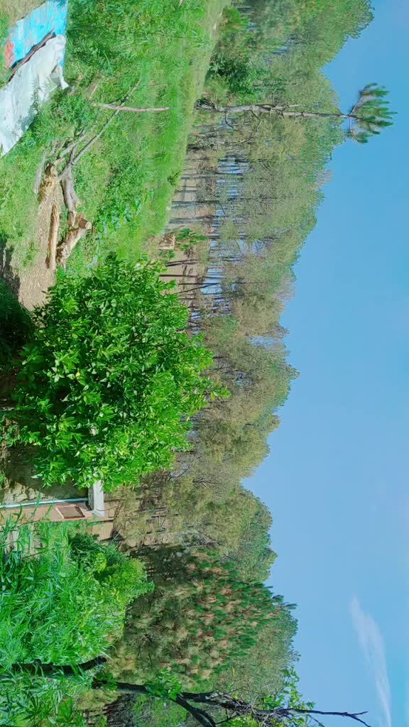 @Ganesh Arya