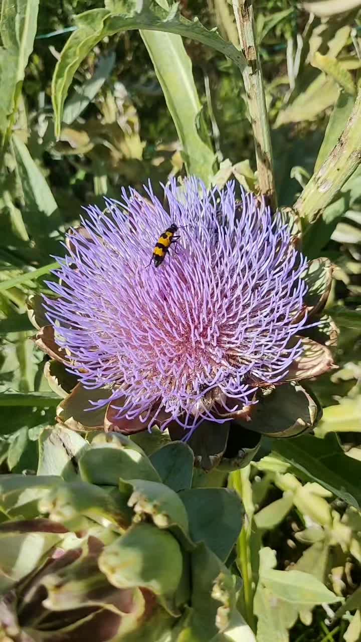 @JardinsMonPlaisir
