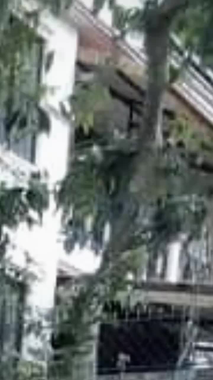 @sanjitakanxi52
