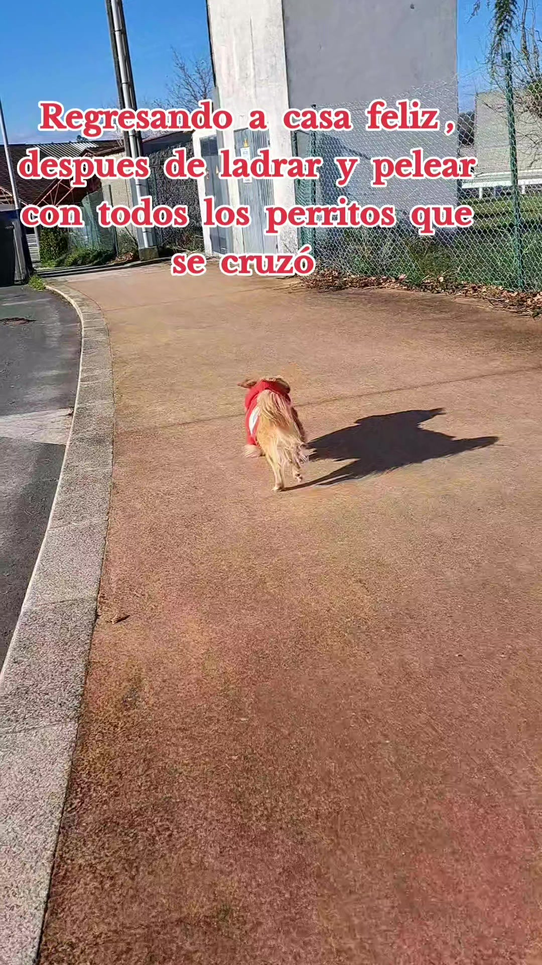 @luabro