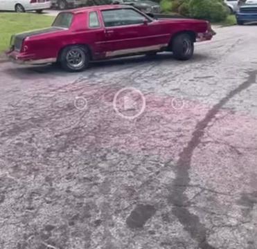 @Toon_on_24s