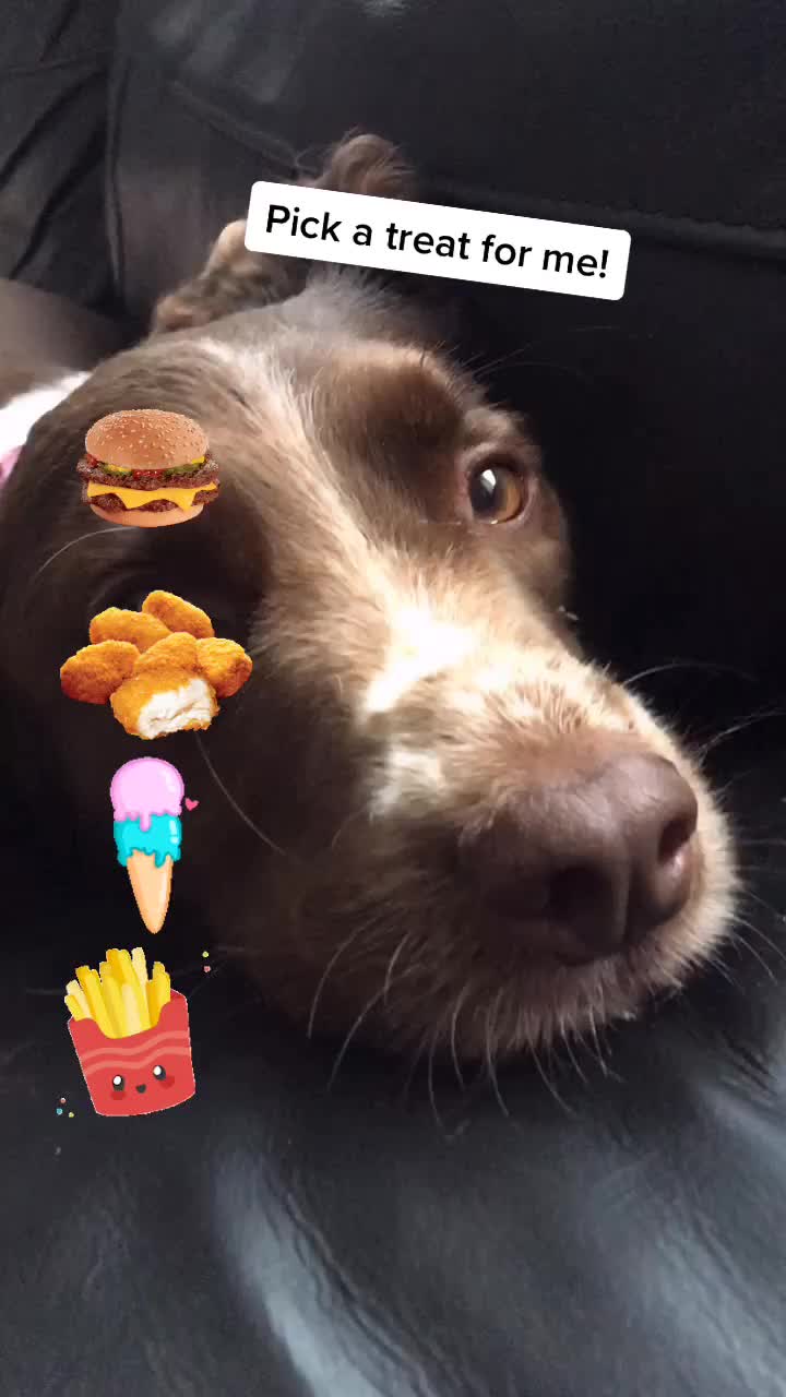 @🐶Molly🐶