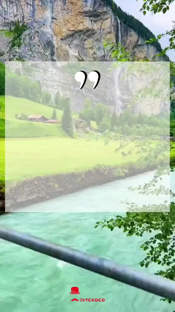 @Misterded
