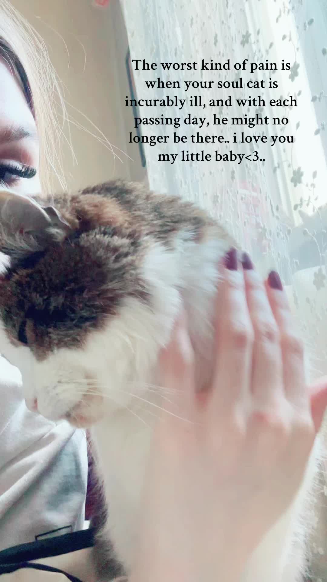 @Charlotte ♡