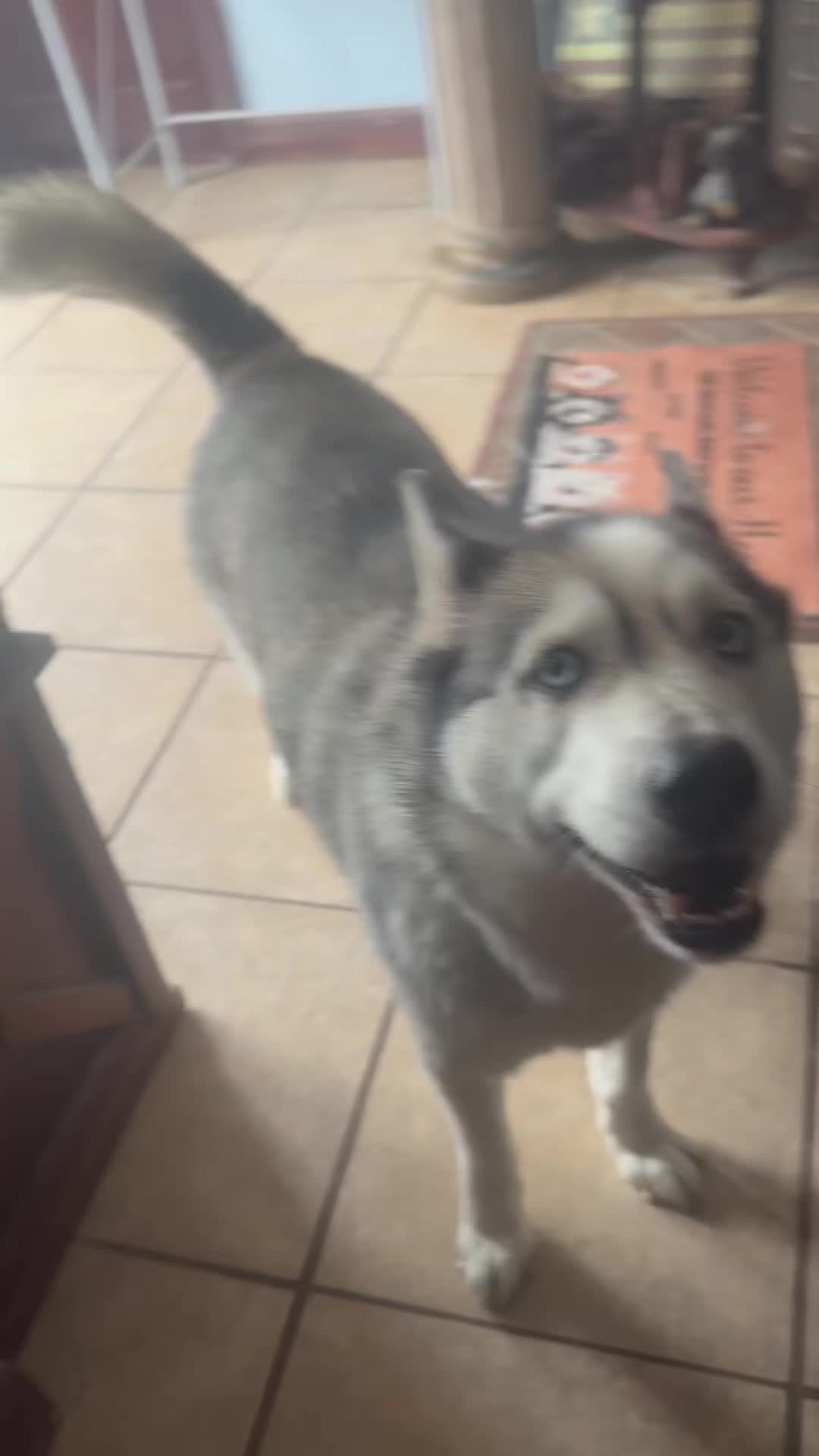 @Husky 6 Pack