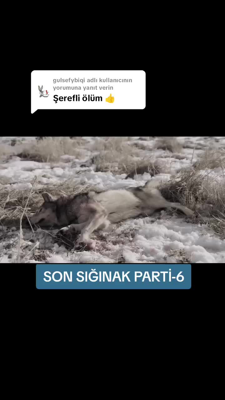 @Belgesel D&uuml;nyası 🌏