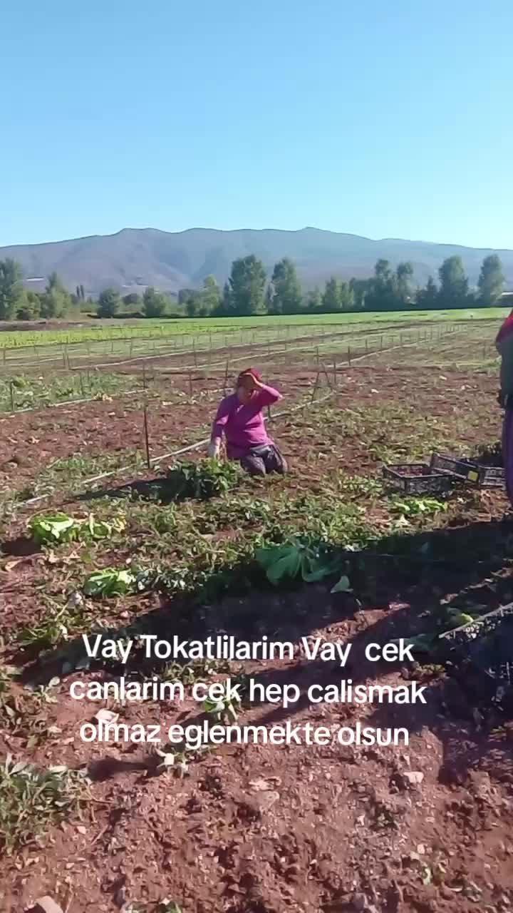 @❤️Emin ❤️ Ayşe Ilık ❤️