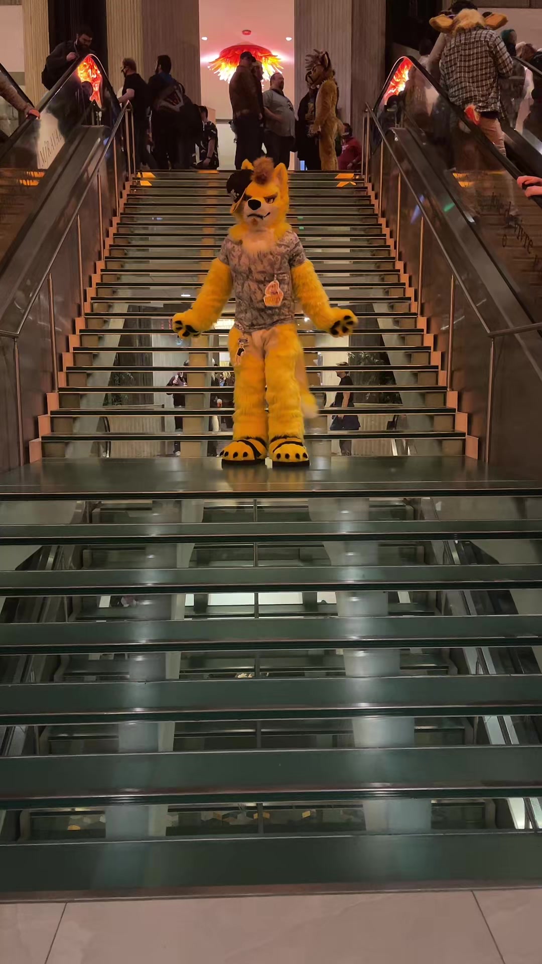 @Daxterdingo
