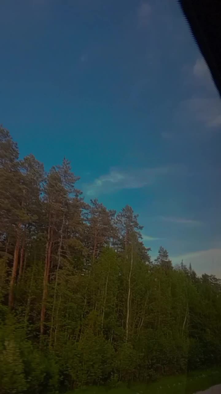 @Софик☠️