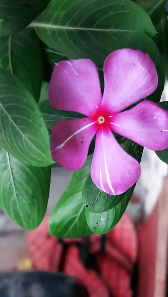 @@nishanjali 12