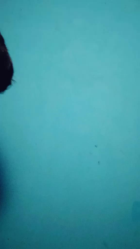 @Gautam arjit