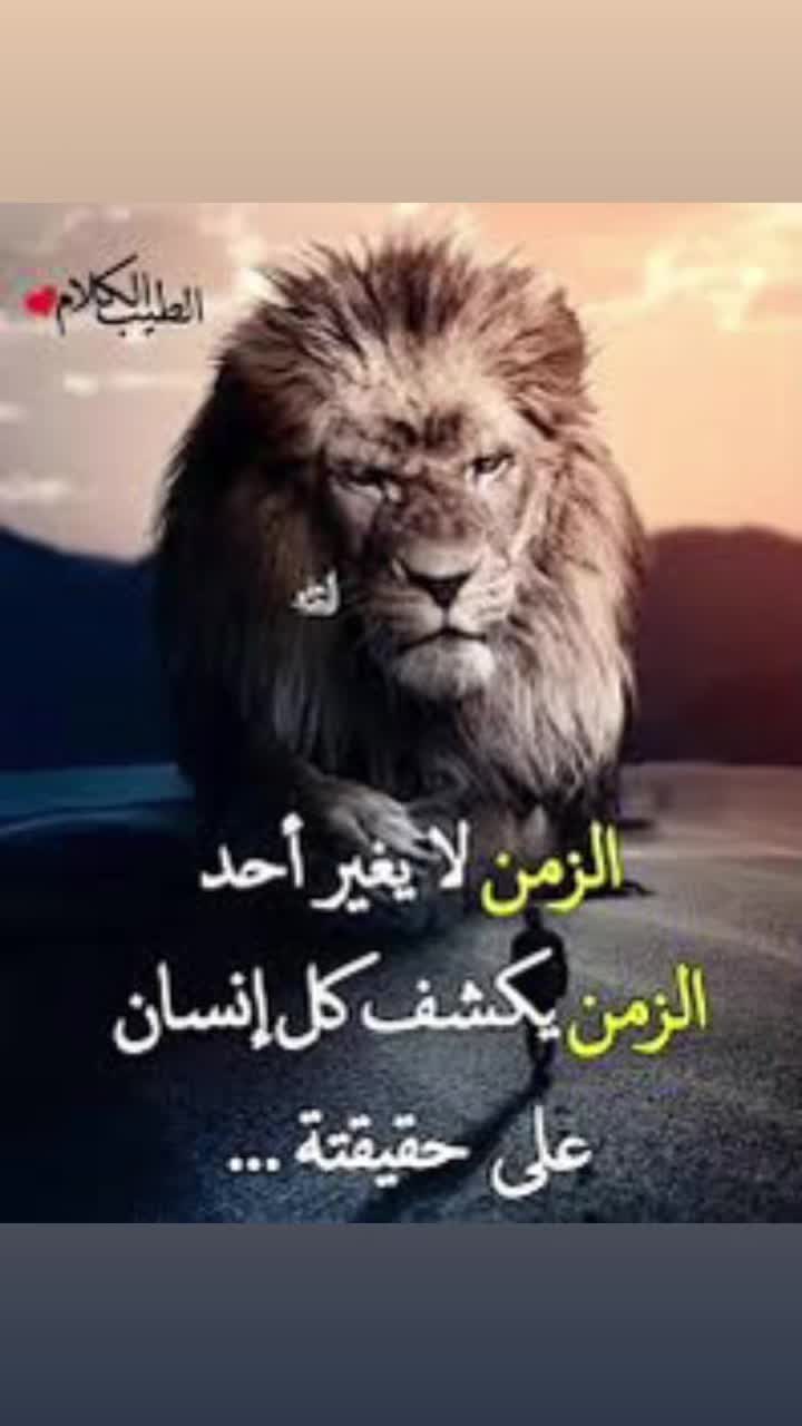 @Ahmad Maj