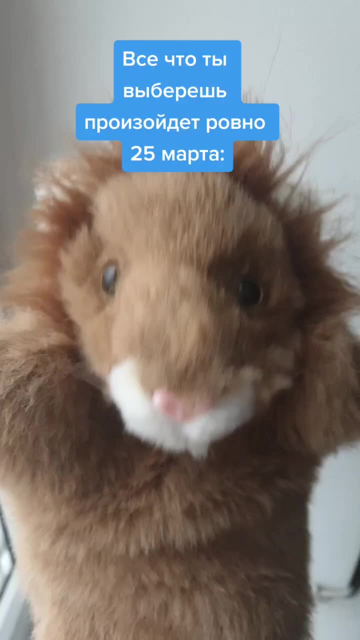 @Львенок Симба