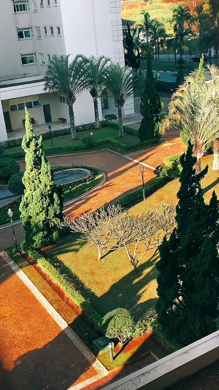 @🤍🕊️