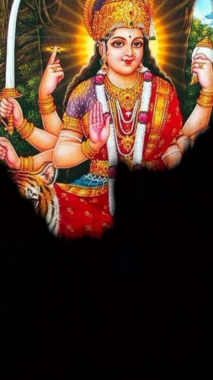 @user244412845255494