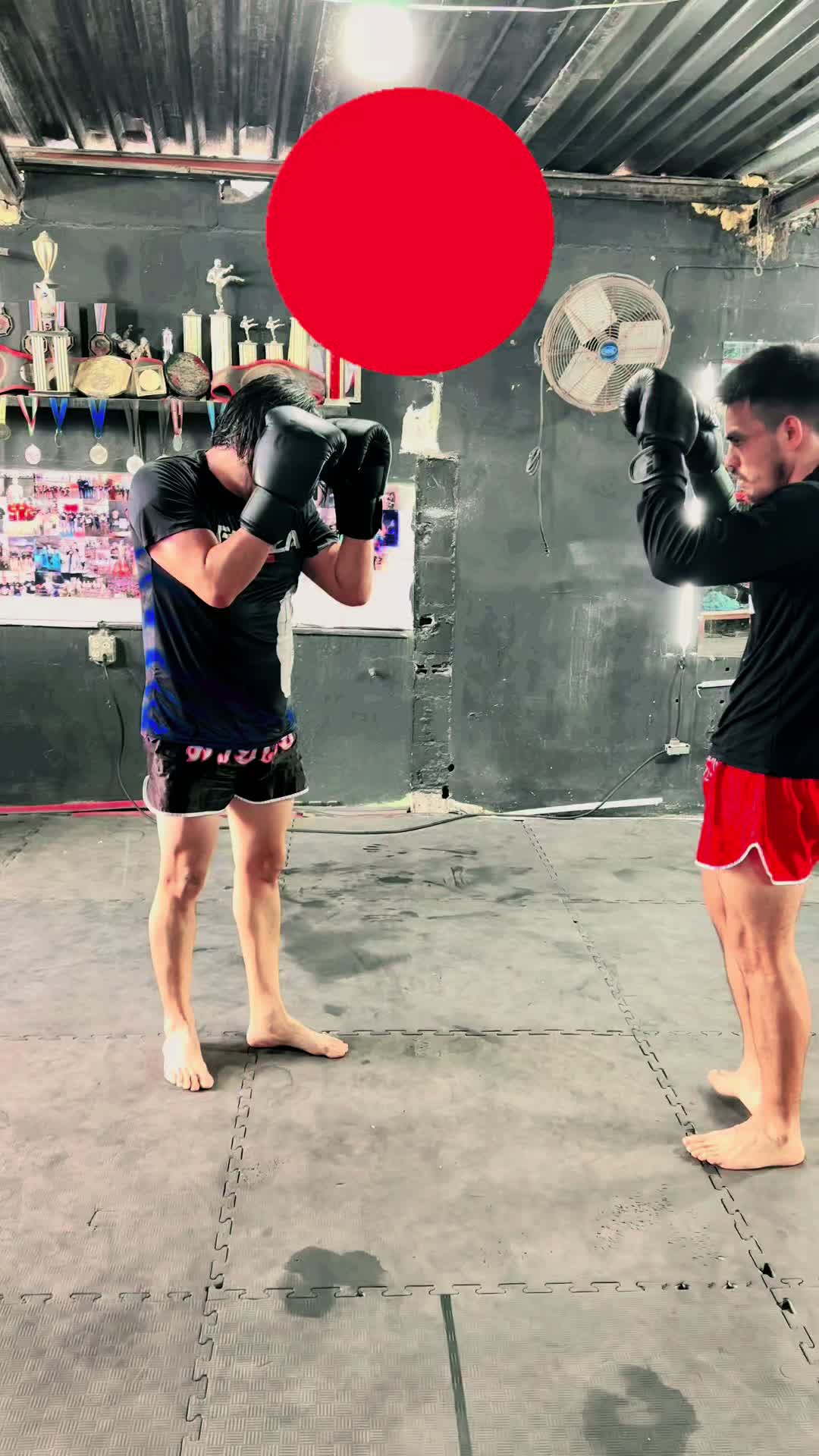@Forza Muay Thai - Kick Boxing