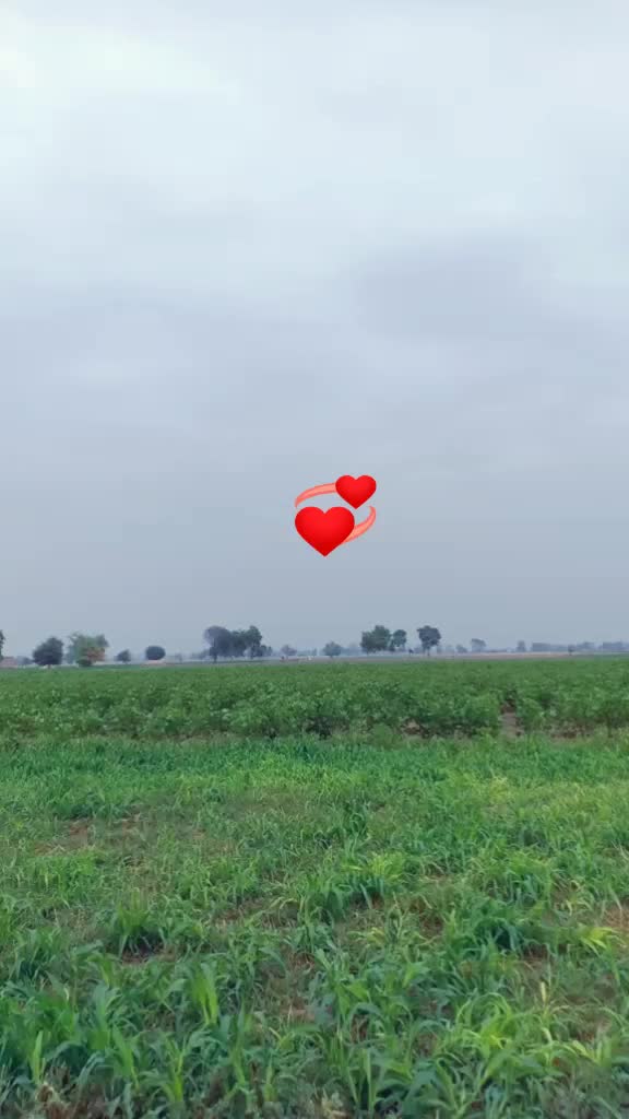 @Sandeep Singh